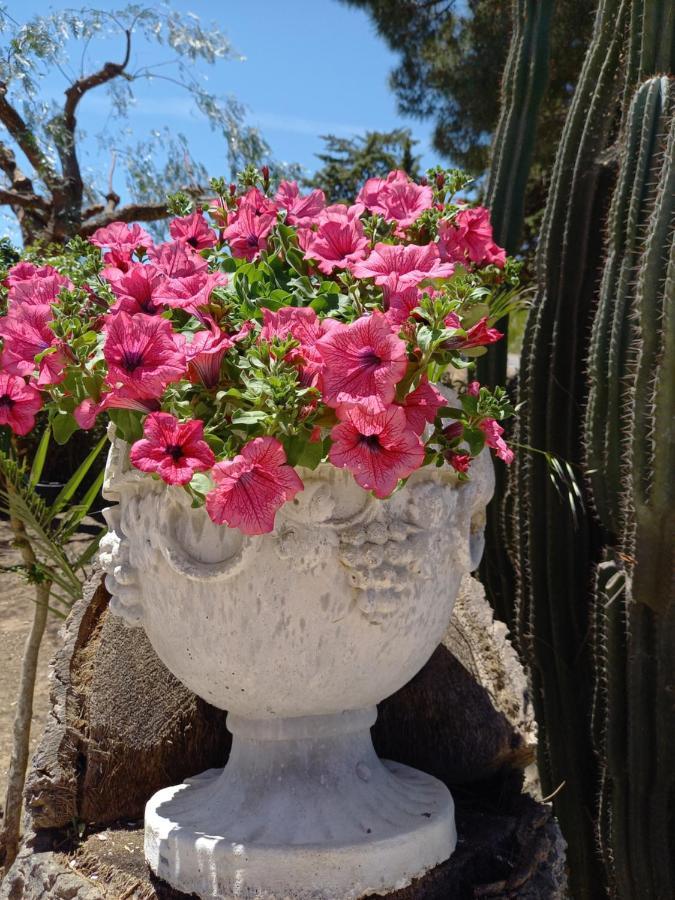 קלטג'ירונה Casolare Del Toscano Country Rooms מראה חיצוני תמונה