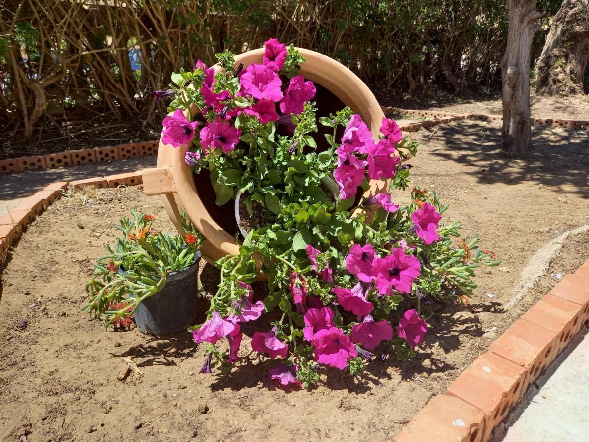 קלטג'ירונה Casolare Del Toscano Country Rooms מראה חיצוני תמונה